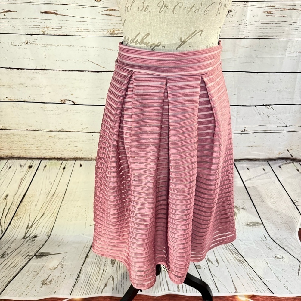 See You Monday Dusty Pink A-Line Circle Skirt Large